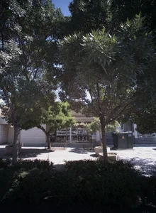 فروشگاه نمازی‎خواه