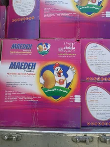 پارس ماکیان مائده