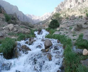 ساندویچ بستنی 20