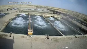 استخر پرورش ماهی توکلی