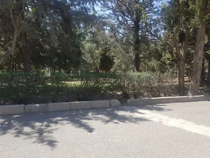بوستان میلاد