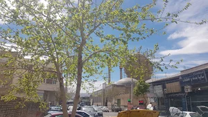 مسجد حاج عبدالحسین یقطین