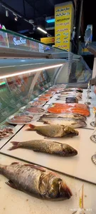 ماهی فروشی آقای ماهی فروش Aghaye Mahi foroush