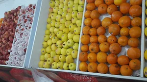آقای میوه Mr.fruit
