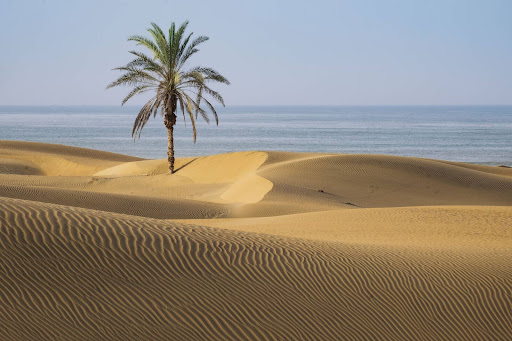 زرآباد