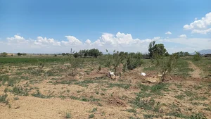 باغ درختی عرفان