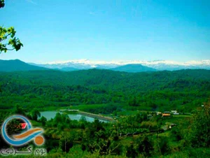 تولید مجسمه دکوری