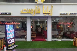 مبلمان ایلیا فارست