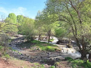 دوروانی مزرعه