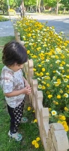 بوستان مهدی 5