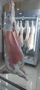 پخش پروتئین یوسفی