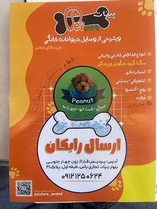 پت شاپ پینات