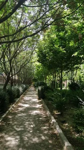 فضای سبز