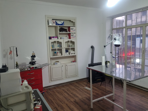 کلینیک حیوانات خانگی سینوهه