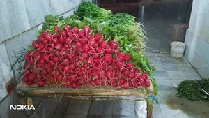 سبزی فروشی ناصری