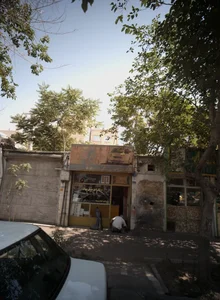 رنگ اتومبیل بهار 2