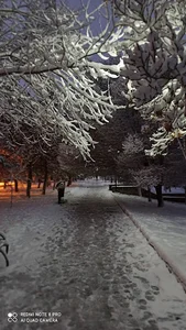 پارک طولی تلاش