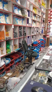 پارس یدک