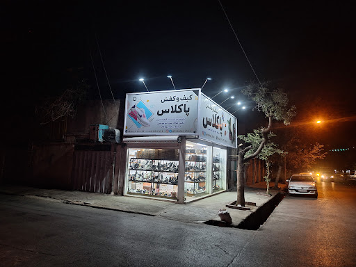 کیف و کفش پاکلاس