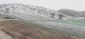 روستای سیاه چم شاهیوند