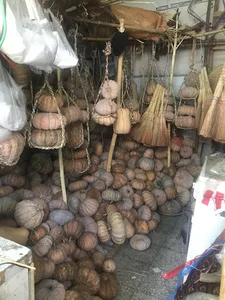 مغازه آقای پیرمرد کدو حلوایی فروش