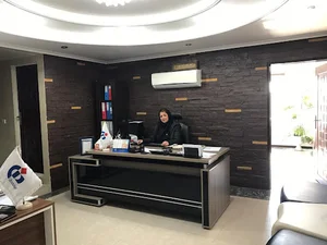 بیمه دانا