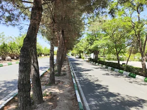 بهشت جوادالائمه (ع)