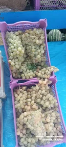 ارزنسرای میوه خدابنده