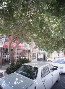 سوپر گوشت سجاد 2