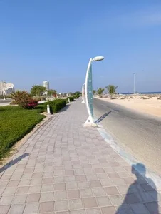 پارک نیلوفر 5