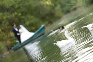آتلیه عکاسی عروس یکی یدونه
