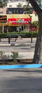 نان بربری برکت مشهد