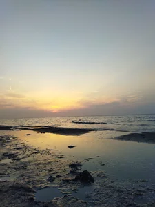برج حس زندگی