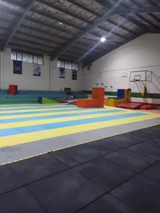 باشگاه ورزشی شهدا 2