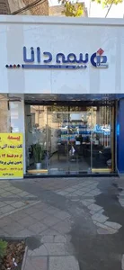 بیمه دانا 2