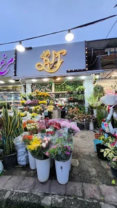 AraGol Flowershop گلفروشی آراگل