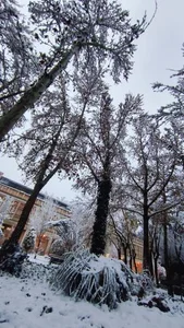 پارک شهید رجایی 3