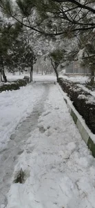 بوستان آزادگان 5