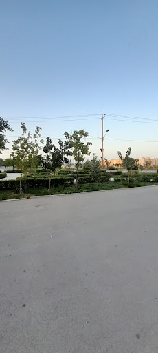 پارک نیاوران