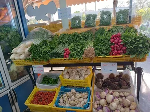 سوپر میوه مادر 2