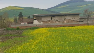 کارخانه شالیکوبی ممتاز گلستان