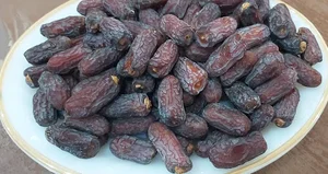 بازرگانی خرما و رطب نخل زرین
