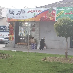 میوه فروشی حاجی بابا 2