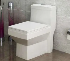 توالت فرنگی