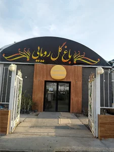 جنگل استوایی رویا