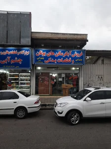 فروشگاه وتعمیرگاه چشم آبی