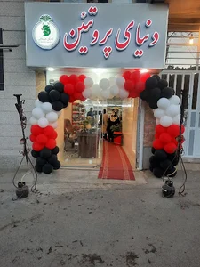 دنیای پروتئین