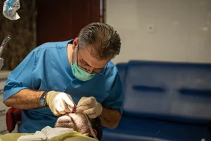 دندانپزشکی دکتر کیهان کندری 2