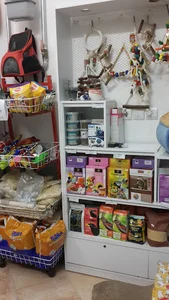 پت شاپ آرکا