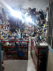 خرازی پریناز